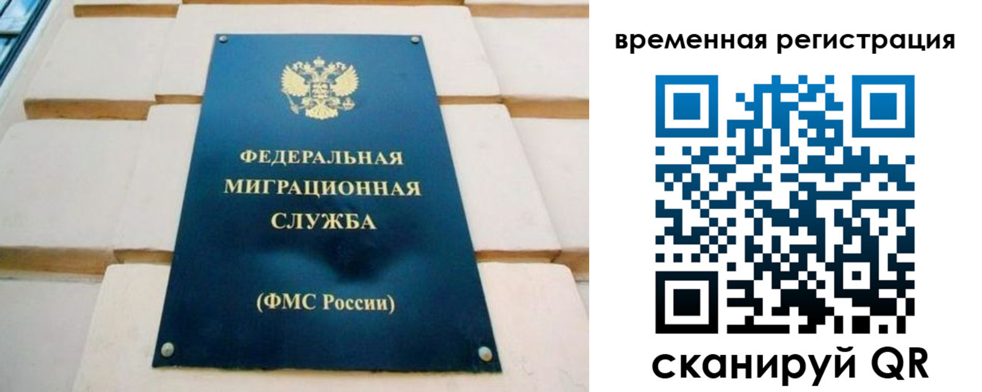 прописка гарантия в Богородицке